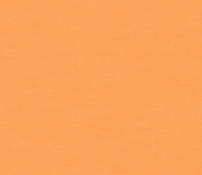 Обои Rasch Textil Aristide 228365