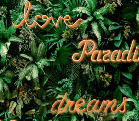 Обои Decoprint Good Vibes GV24211